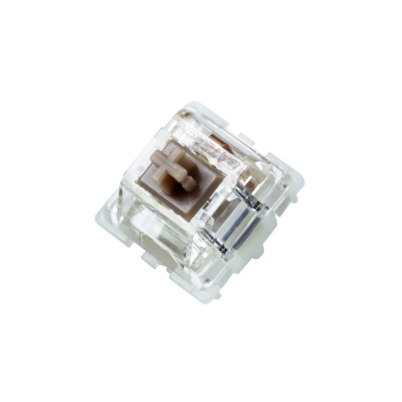 Gateron Baby Racoon