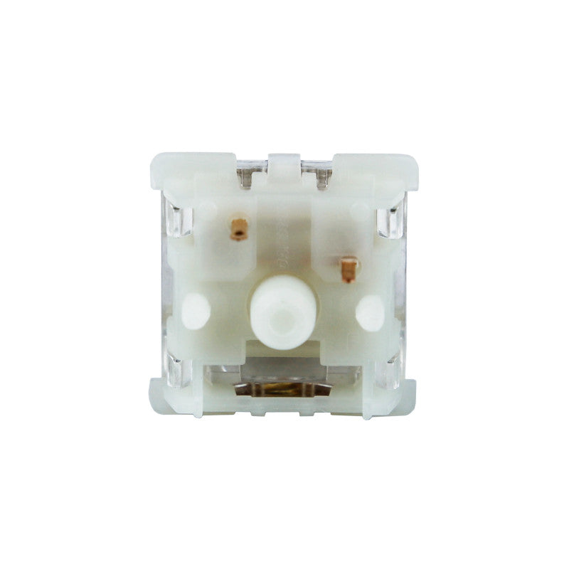 Gateron Baby Racoon