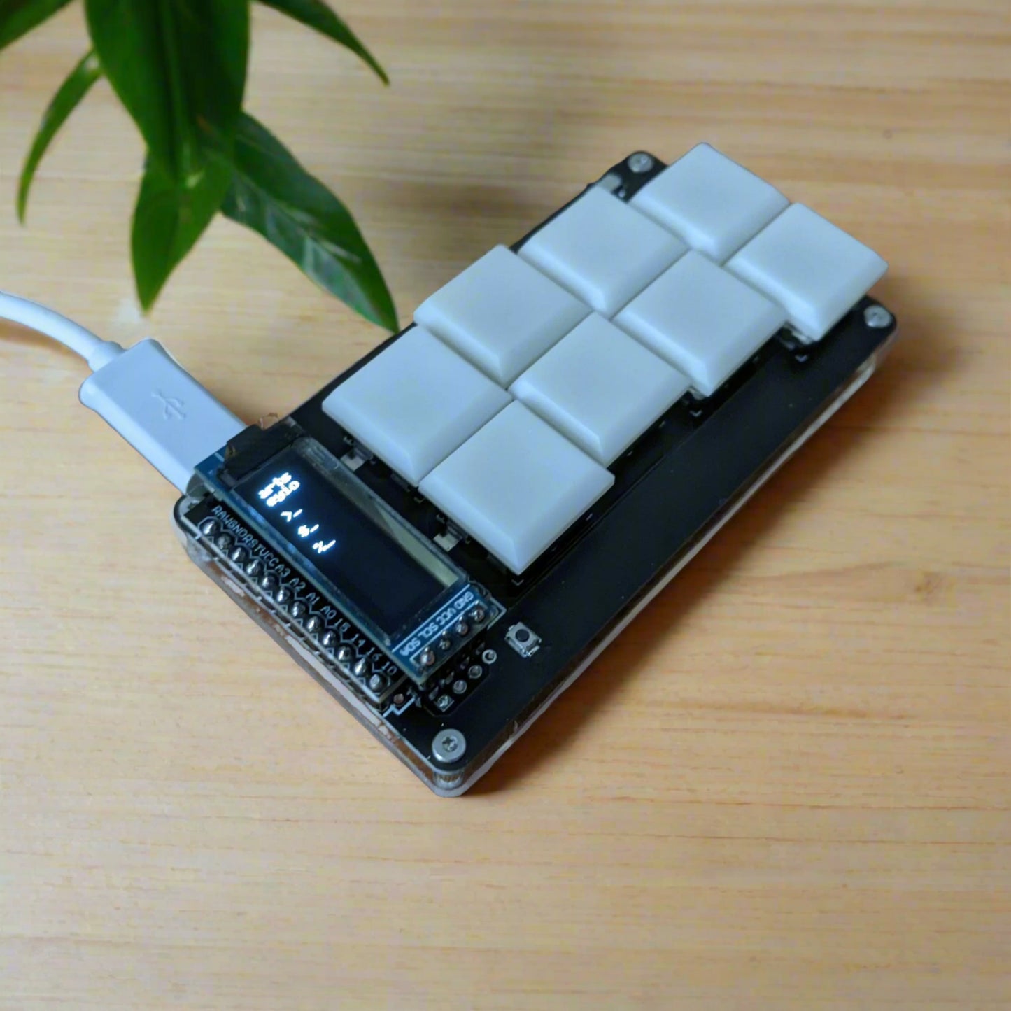 Paintbrush Keyboard Kit KEEBD