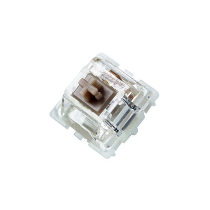 Gateron Baby Racoon