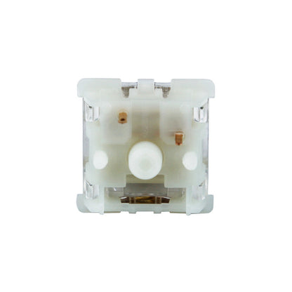 Gateron Baby Racoon